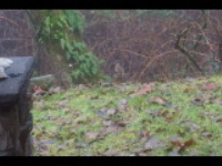 dsc00069.jpg